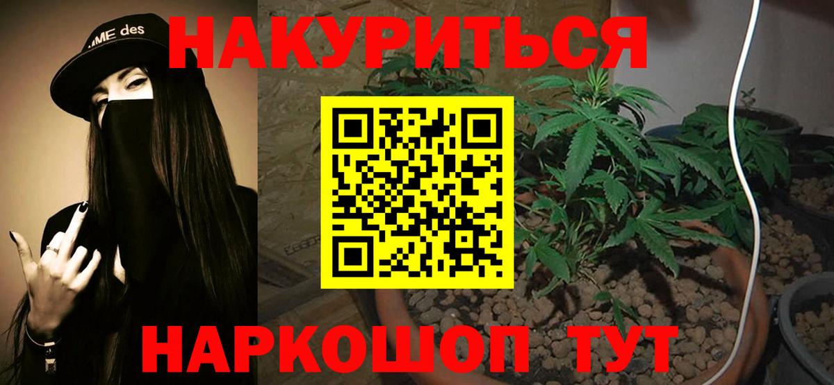 Марихуана SATIVA & INDICA Зима
